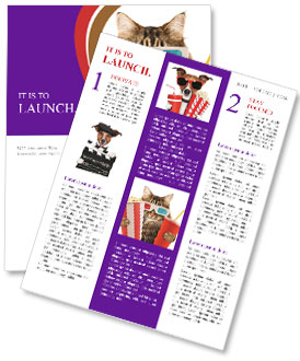 Feline Enjoying A Film: A Cat's Perspective On Movie Time Newsletter Template