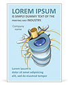 Spine Anatomy Ad Template
