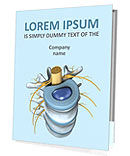 Spine Anatomy Presentation Folder