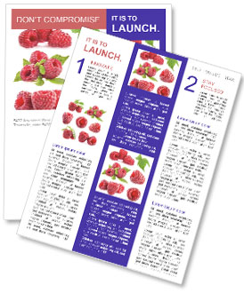 White Background Raspberry Isolation Newsletter Template