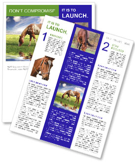 Meadow Horse: A Majestic Equine In Its Natural Habitat Newsletter Template