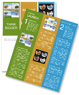 Solitary Tree In All Four Seasons Newsletter Template