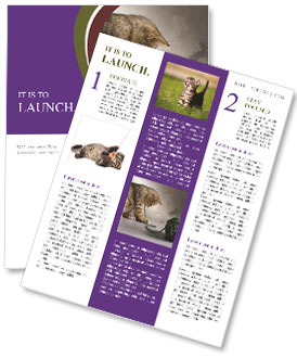 Adorable Kitten Engaging With Green Wool Ball On Marble Surface Against Gray Background Newsletter Template