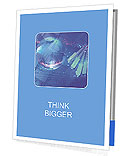 International Network Presentation Folder