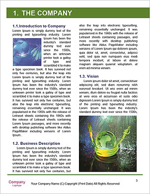 Technology-Styled World Map With Fiber Optic Backdrop Word Template - Page 3