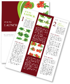 Isolated Collection Of Lush Tomatoes And Green Foliage On White Background. Newsletter Template