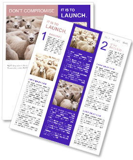 Sheep Herd Gazing Into Camera Newsletter Template