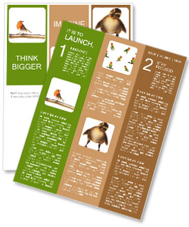 Red Robin Bird Perched On A Branch Over White Background Newsletter Template