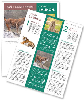 Discover The Fascinating World Of Lynx: Habitat, Behavior, And Characteristics Newsletter Template