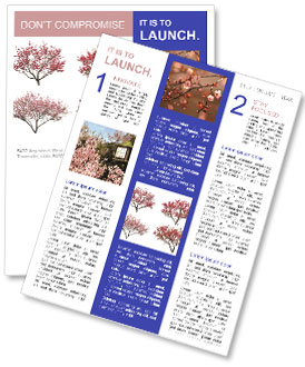 Isolated Blooming Plum Tree On White Background For Clearer Image Visibility. Newsletter Template