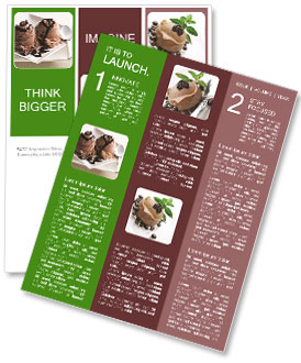 Close-Up Of Chocolate Ice Cream With Syrup - A Delicious Treat Newsletter Template