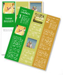 Boy Having Fun in Aquapark Newsletter Template