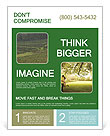 Rural Fields Flyer Template