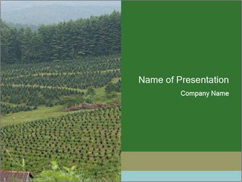 Rural Fields PowerPoint Template