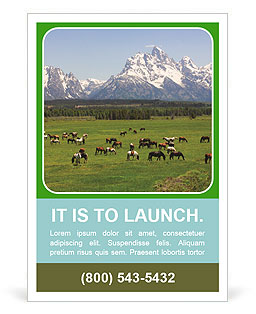 Herd of Horses Ad Template
