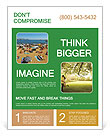 Crowded Beach Flyer Template