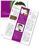 Celebrating Chinese New Year With A Red Sphere Decorated Bonsai Pine Newsletter Template