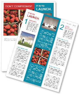 Small Boxes with Organic Strawberry Newsletter Template