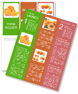 Isolated White Background With Slices Of Orange Fruit Segments Newsletter Template