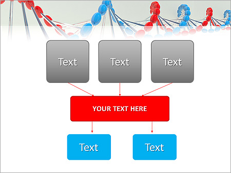 Complementary DNA Animated PowerPoint Template - Slide 27