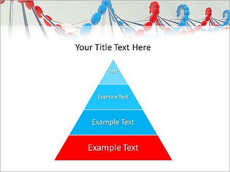 Complementary DNA Animated PowerPoint Template - Slide 4