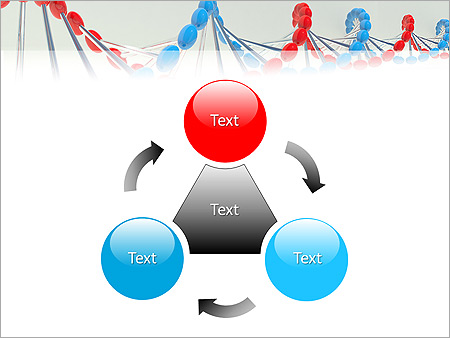 Complementary DNA Animated PowerPoint Template - Slide 5