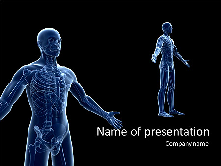 Blue Colored Body Anatomy Animated PowerPoint Template