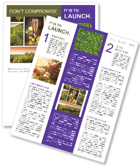 Wine And Grapes Newsletter Template