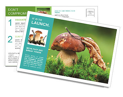 Mushroom In The Grass Postcard Template