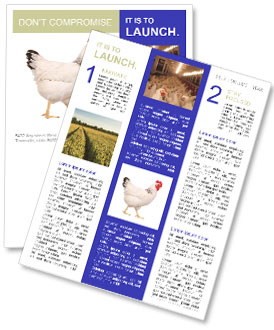 Cock Newsletter Template