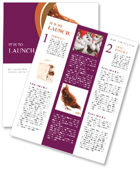 Hen Bites Corn Newsletter Template