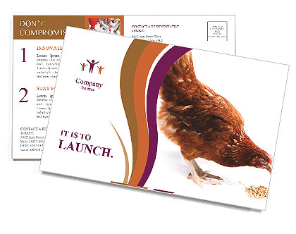 Hen Bites Corn Postcard Template