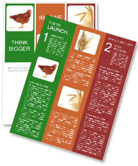 Brown Hen Newsletter Template