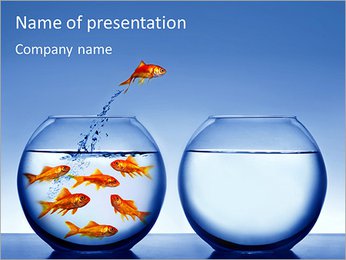 Aquarium With Fish PowerPoint Template