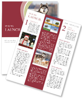 Husky Standing Strong On Snowy Terrain Newsletter Template