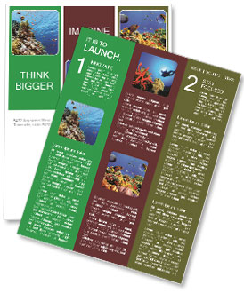 Pulzující korálový útes s barevnými rybami a korály v mělčinách Rudého moře Newsletter