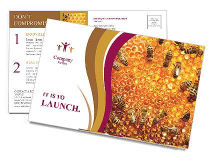 Honeycomb Bees: The Busy Workforce Behind Honey Production Postcard Template
