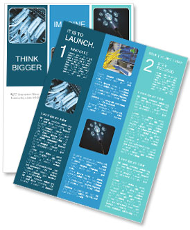 Data Center Connectivity: The Importance Of Optic Fiber Cables Newsletter Template