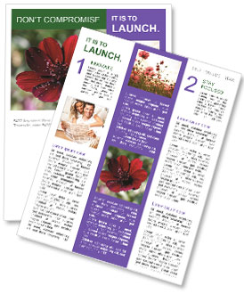 Cosmos Atrosanguineus: The Stunning Chocolate Flower Newsletter Template