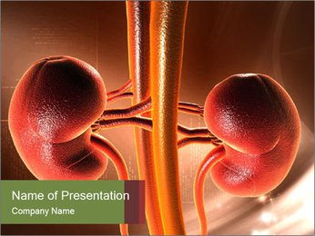 Böbrek Renkli Arka Plan Dijital İllüstrasyon PowerPoint sunum şablonları