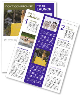 Competition For Agility Dogs: Showcasing Speed, Skill, And Precision. Newsletter Template