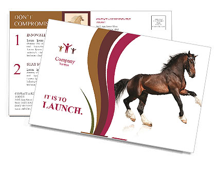 Nice Horse Postcard Template