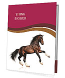 Nice Horse Presentation Folder