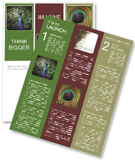 Bright Peacock Newsletter Template