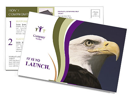 Eagle Postcard Template
