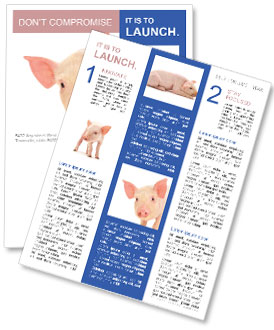 Pinky Piggy Newsletter Template