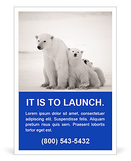 White Bear Ad Template