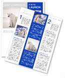 White Bear Newsletter Template