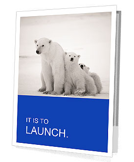 White Bear Presentation Folder