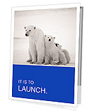 White Bear Presentation Folder
